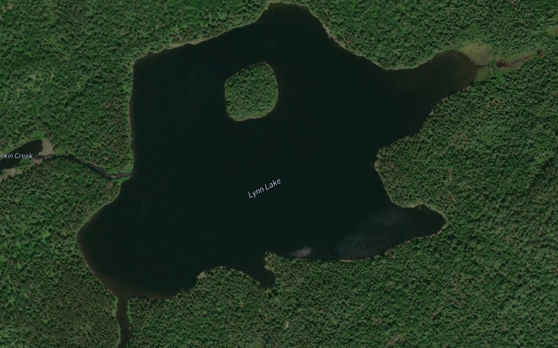 Satellite map of the Lynn Lake