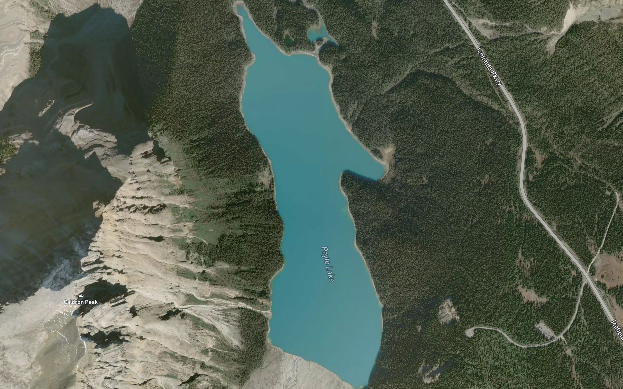 Peyto Creek