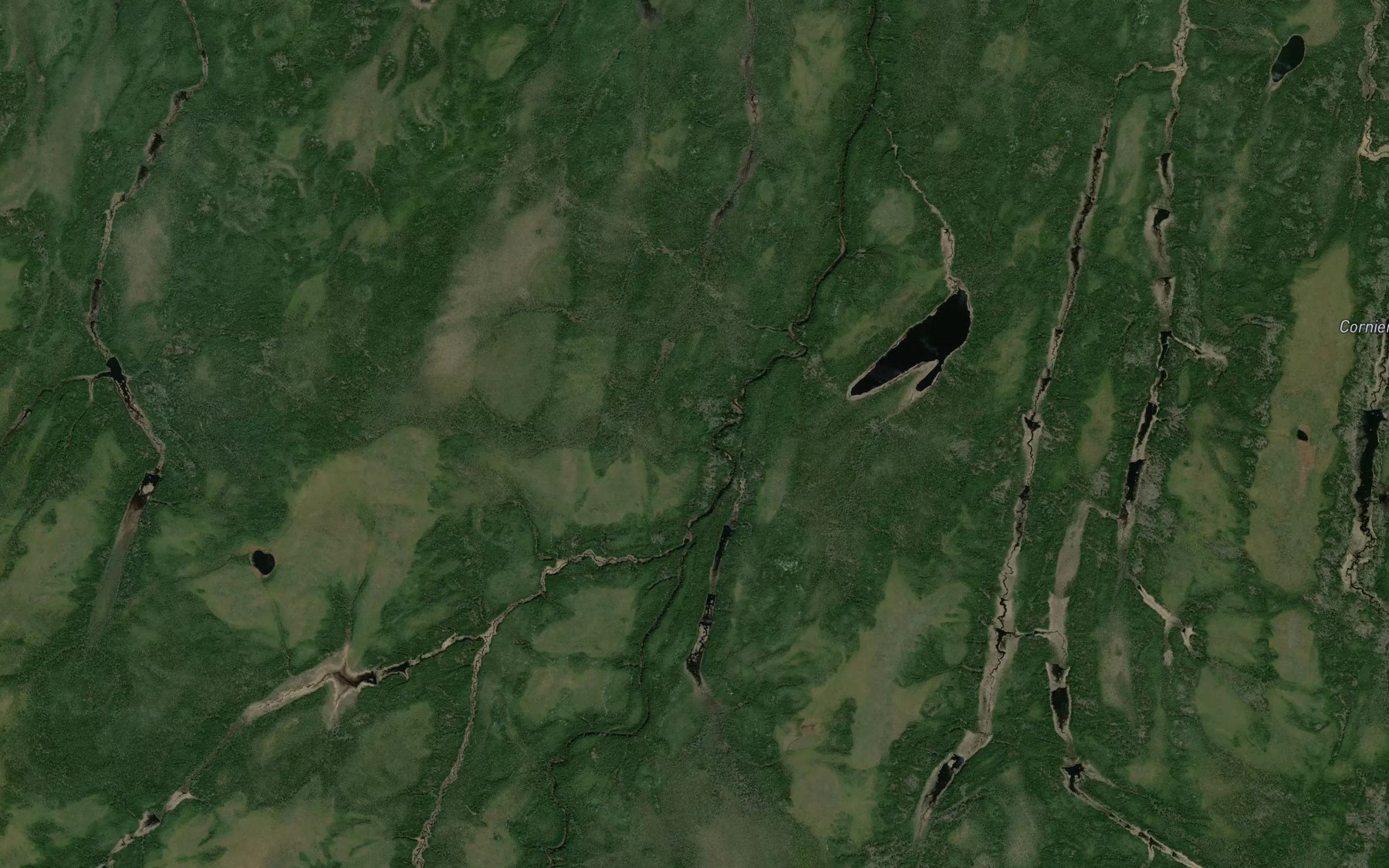 Satellite map of the Tyne Creek