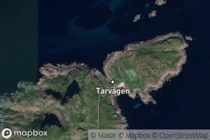 Tarvagen