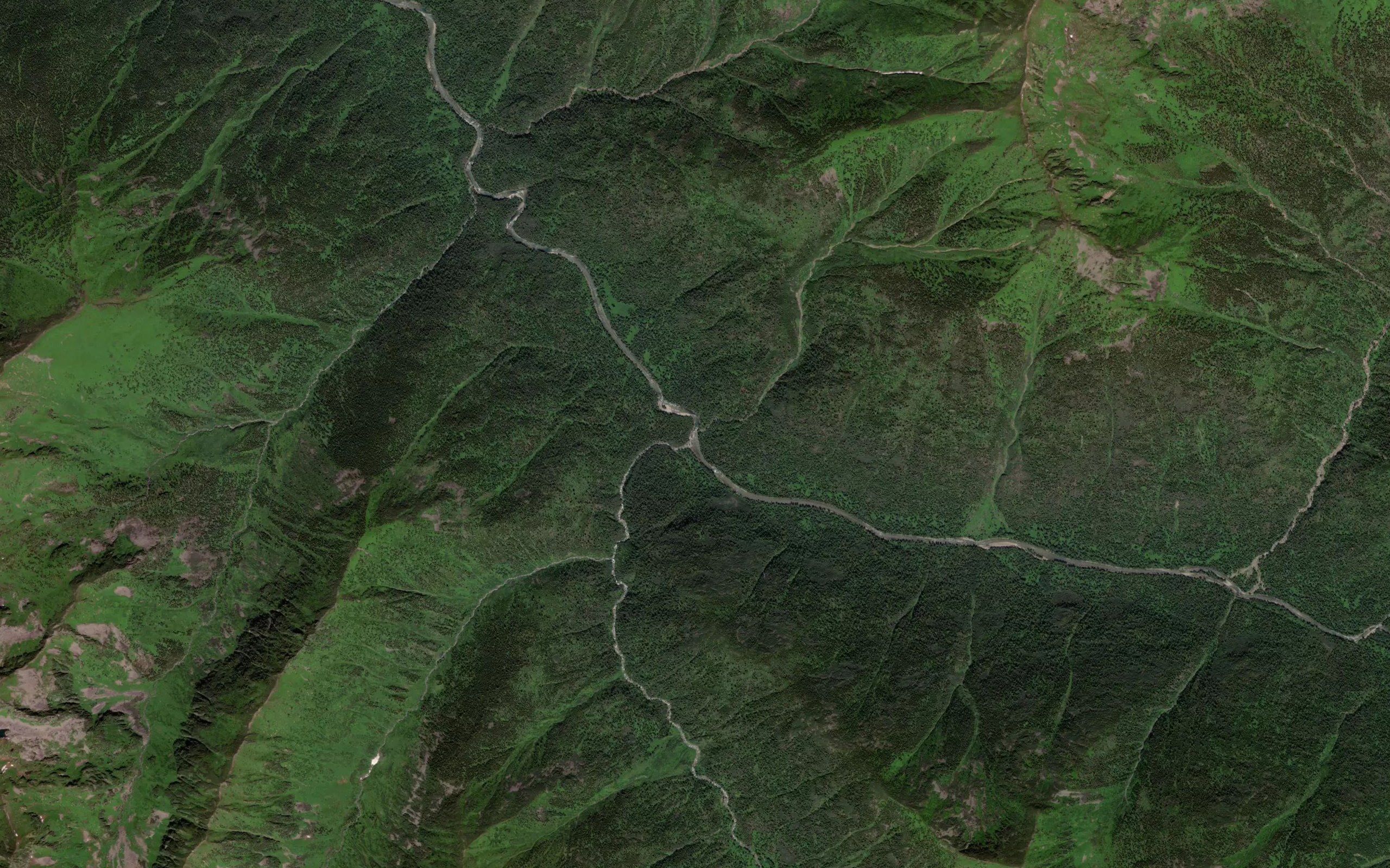 Medvizhiy