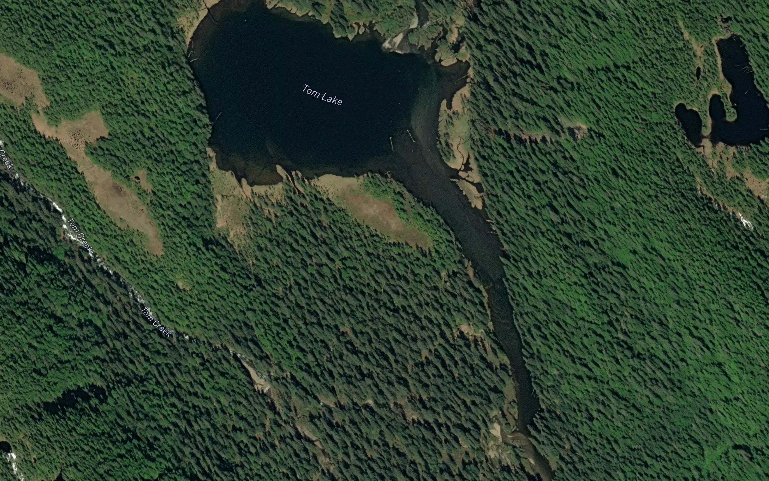Tom Lake