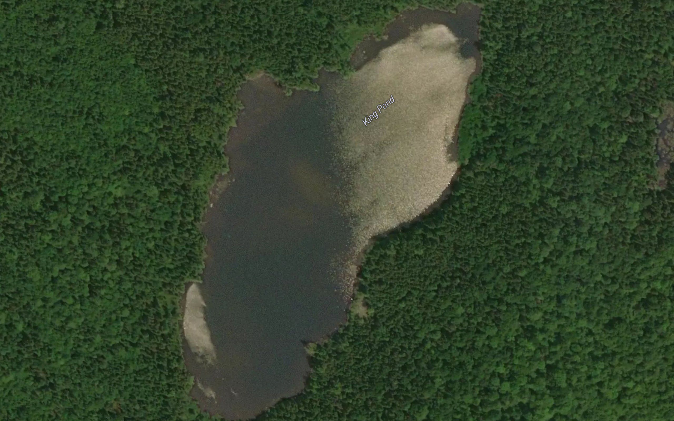 King Pond