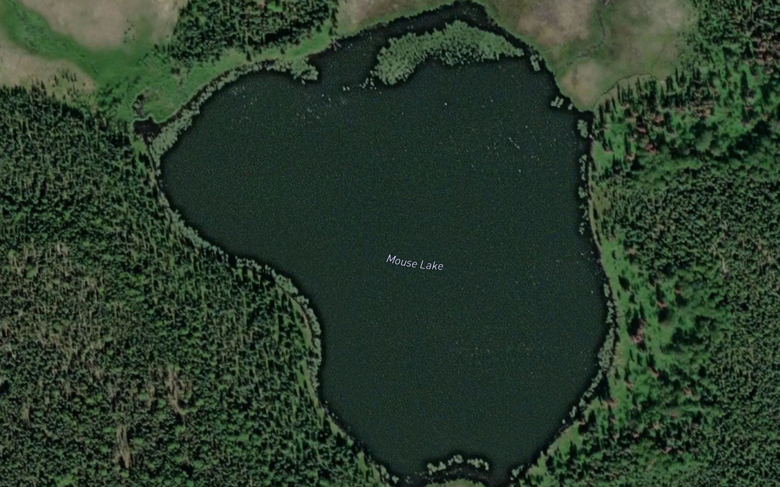 Mouse Lake