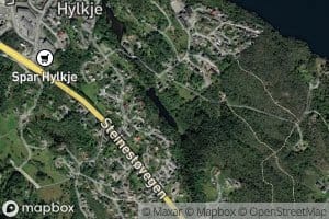 Hylkjestemma