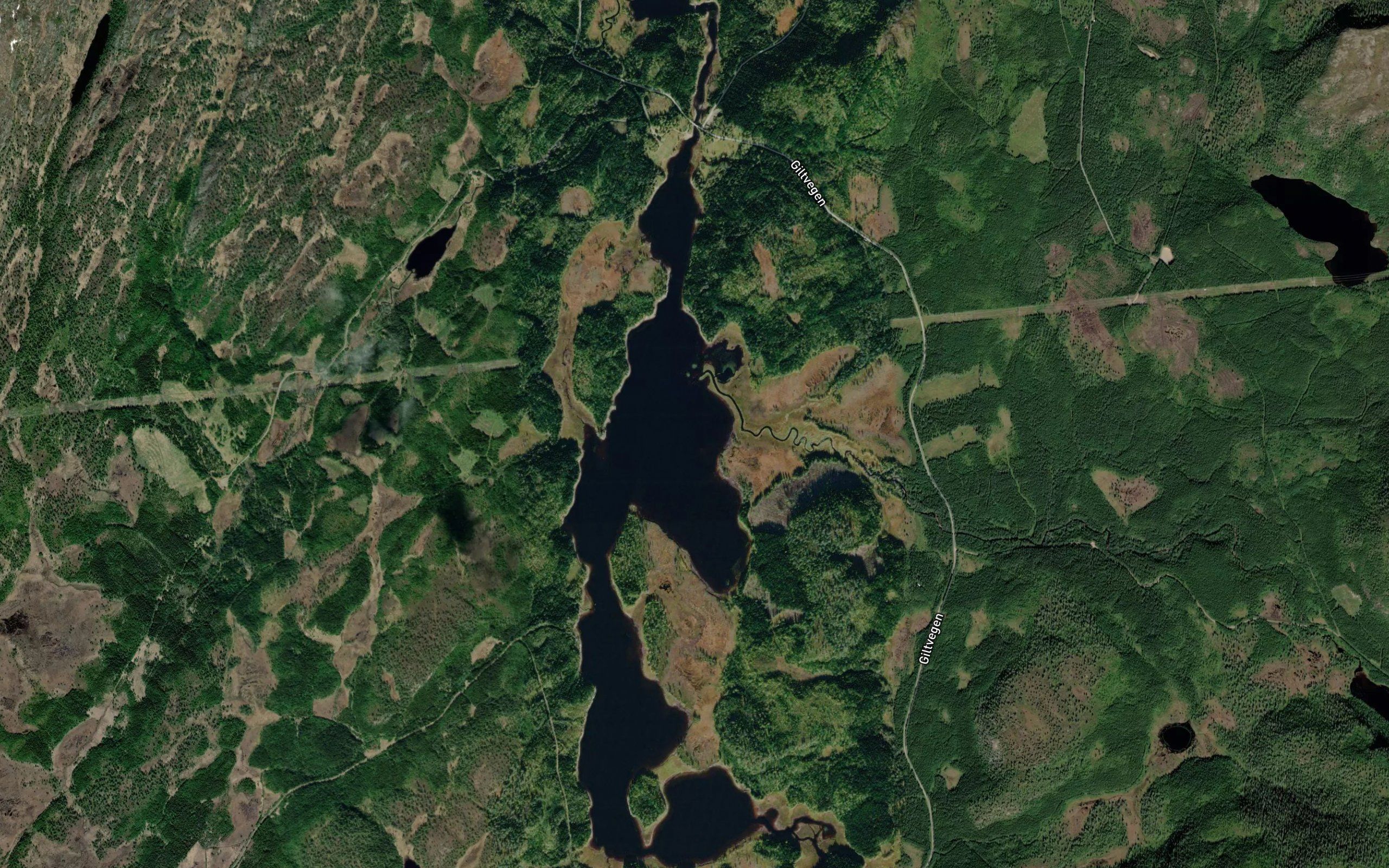 Langvatnet