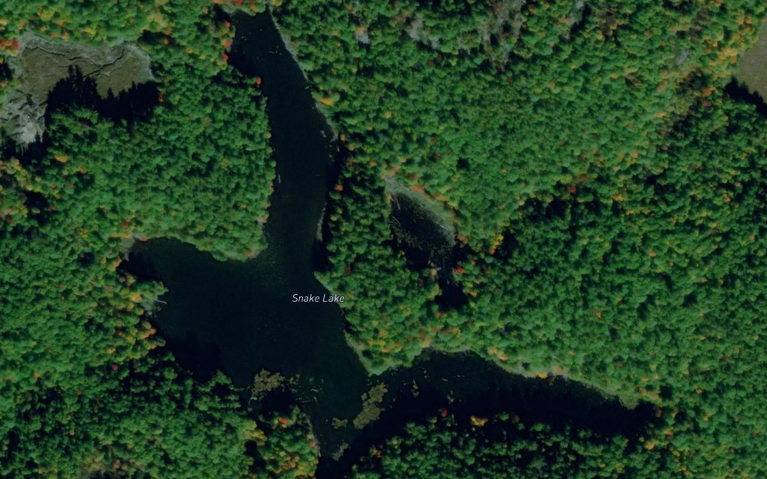 Snake Lake