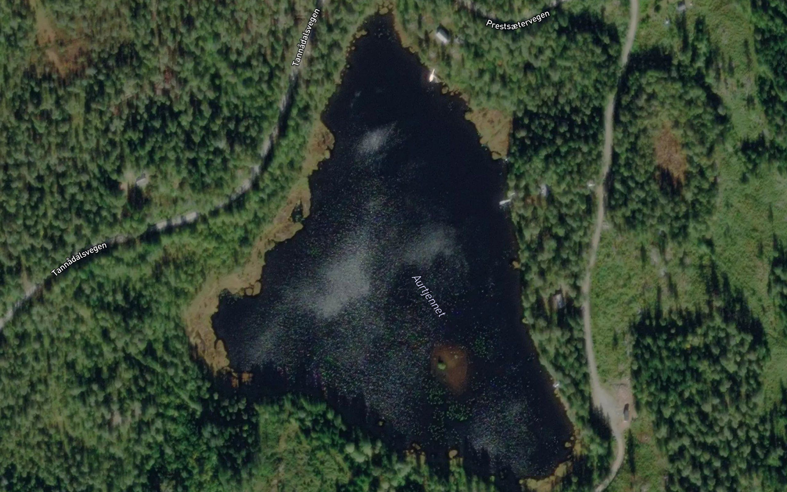Aurtjennet