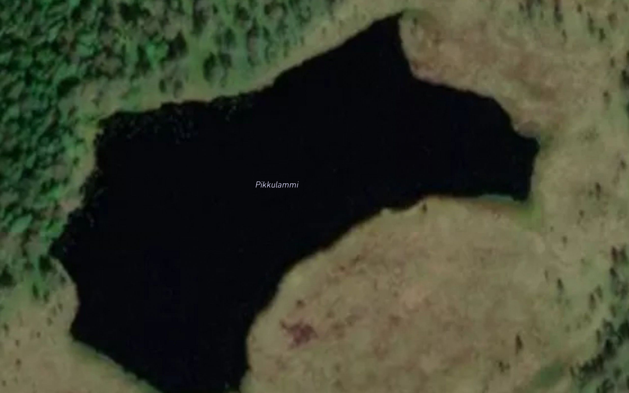 Pikkulammi
