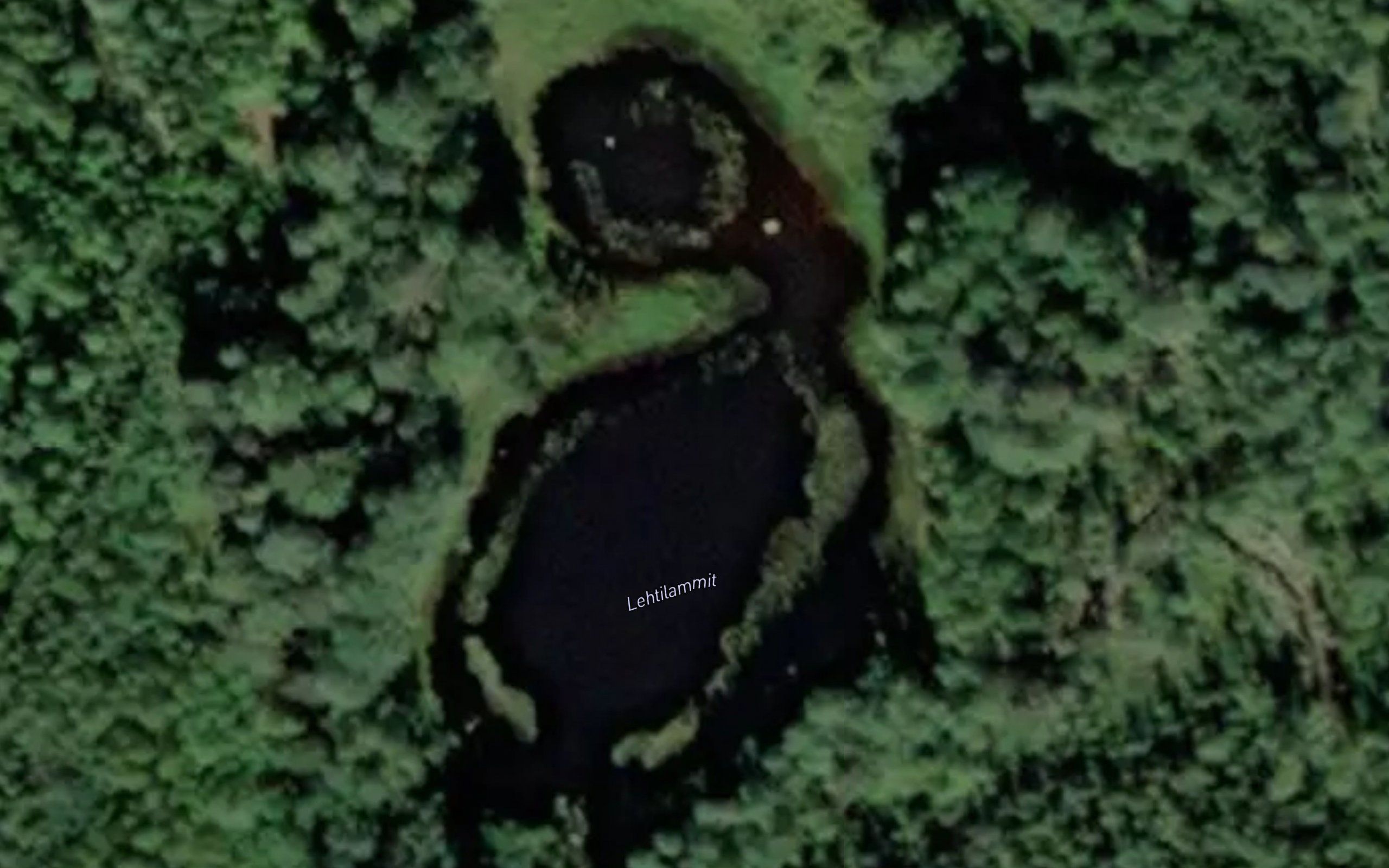 Lehtilammit