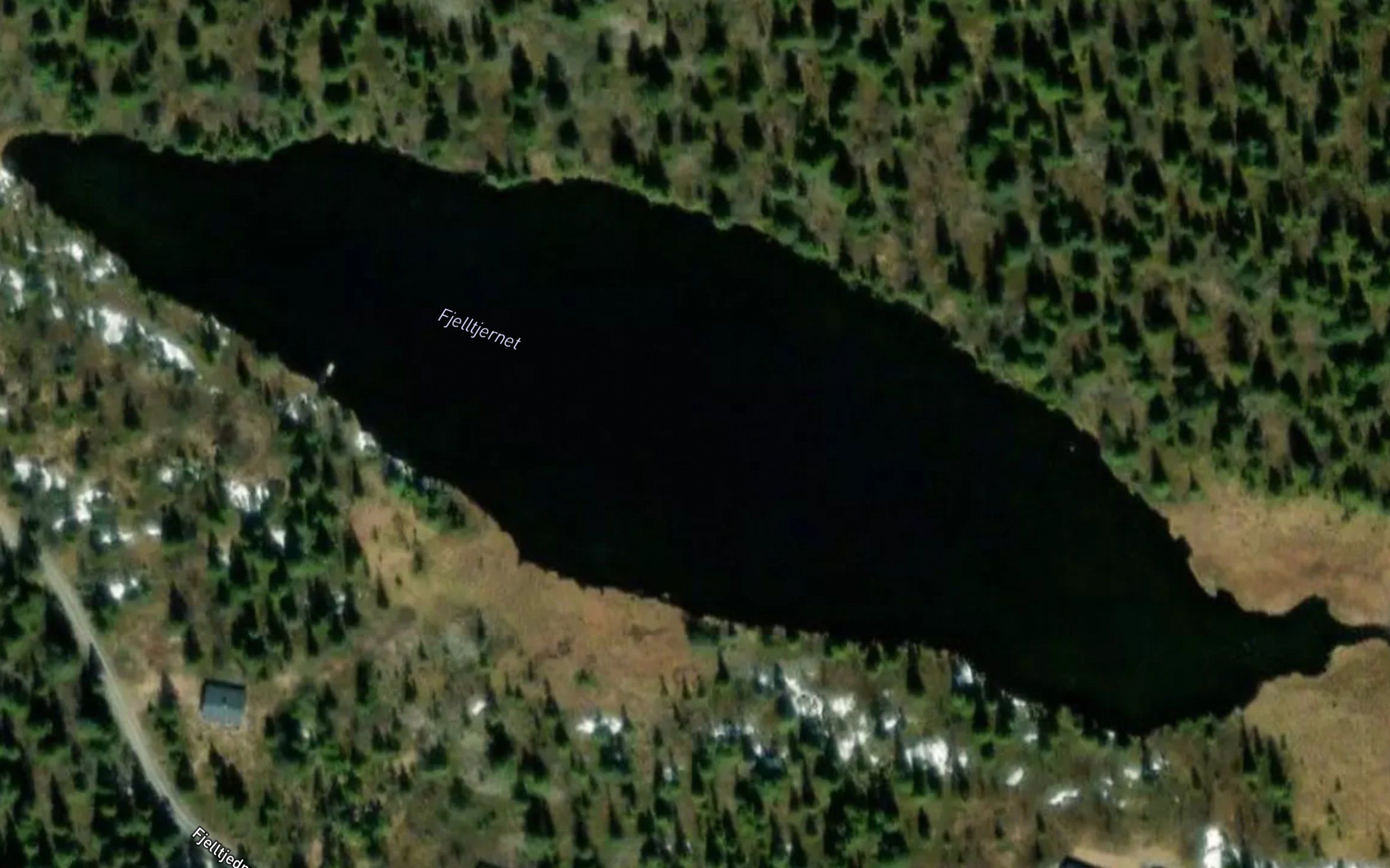 Fjelltjernet