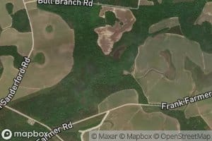 Bull Branch