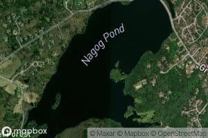 Nagog Pond