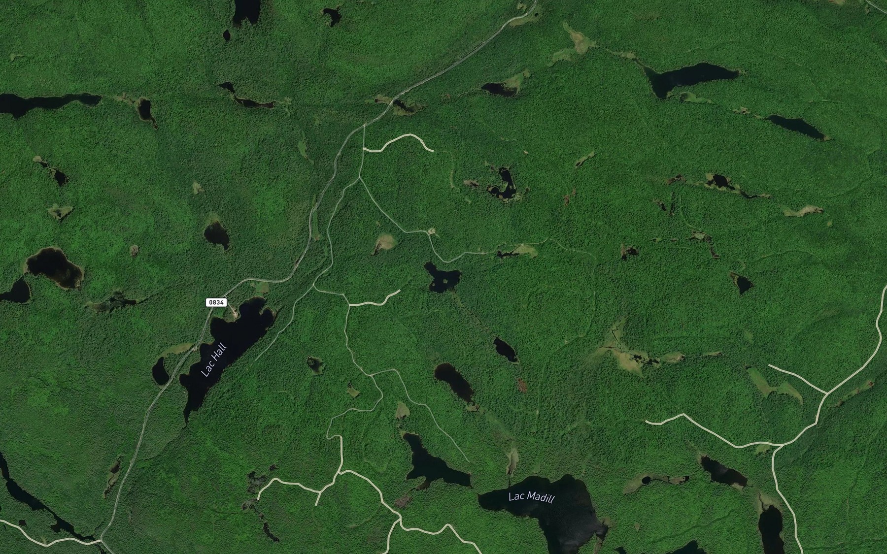 Satellite map of the Lac Murphy