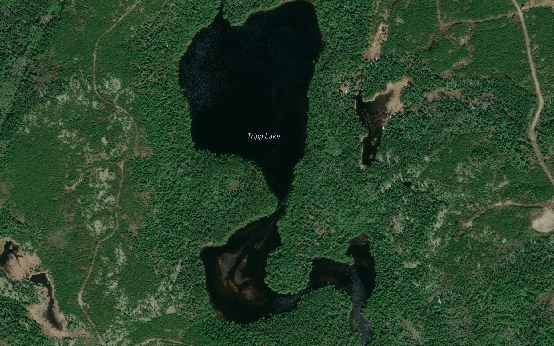 Satellite map of the Tripp Lake