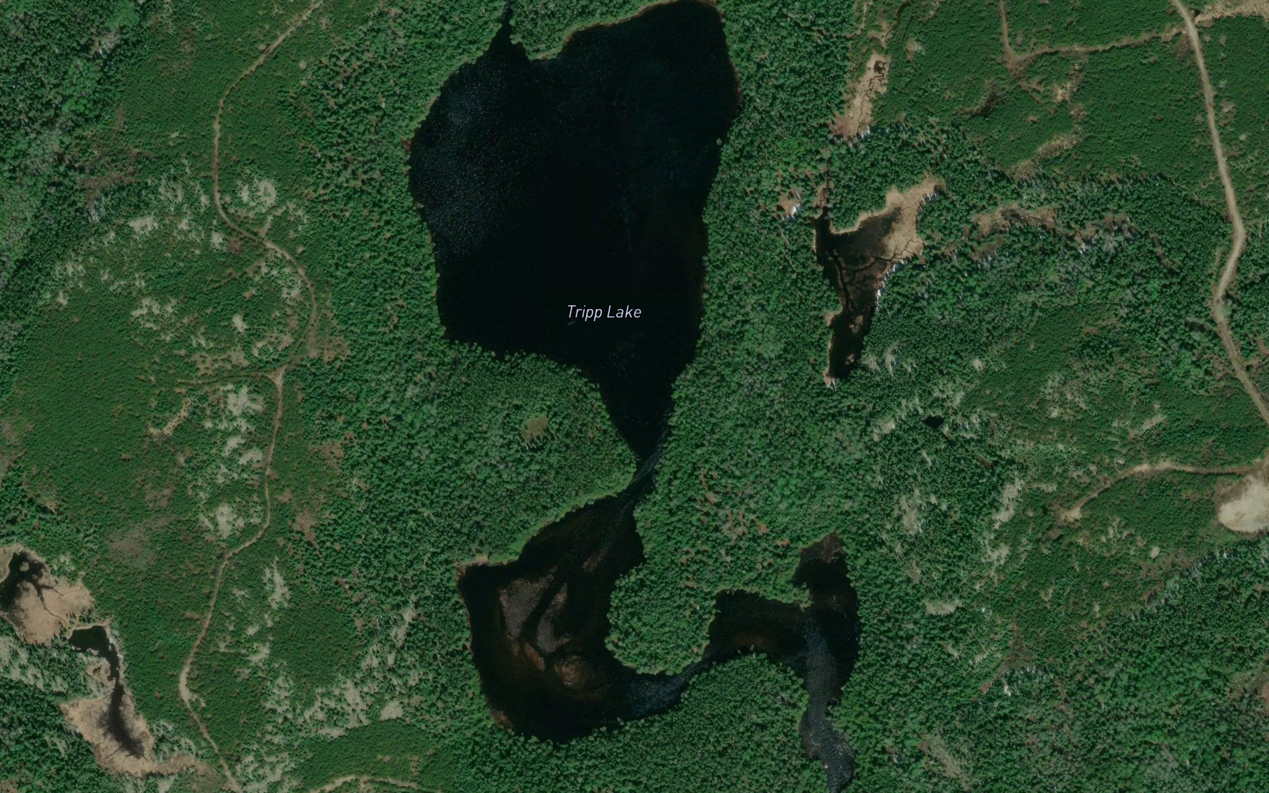 Tripp Lake