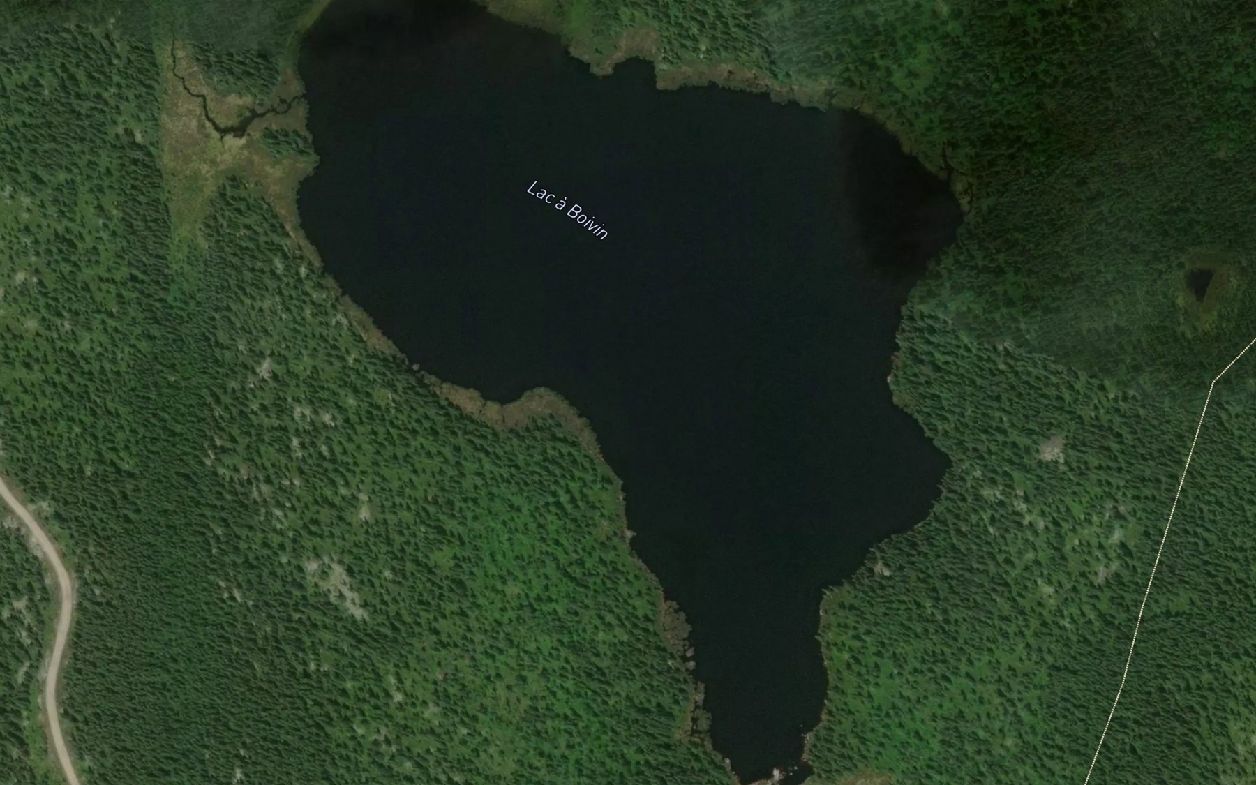 Satellite map of the Lac a Boivin