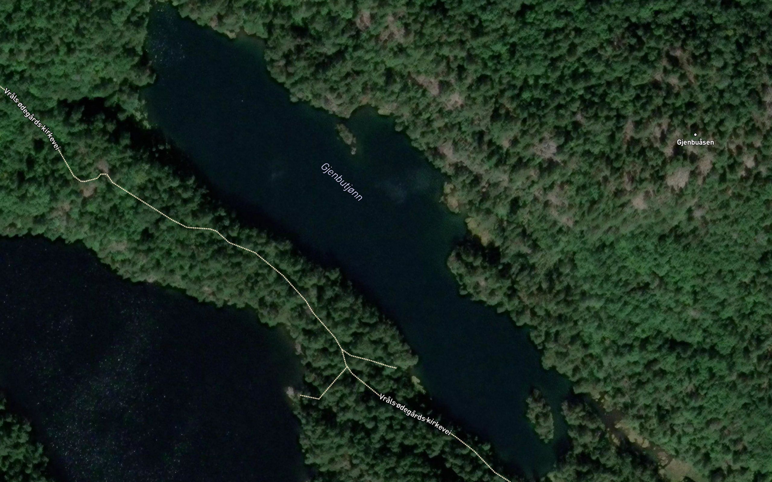 Gjenbutjonn