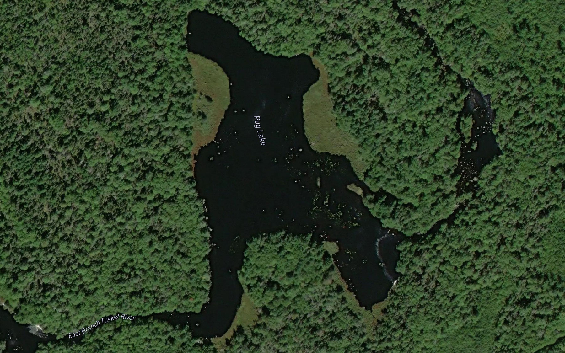 Satellite map of the Pug Lake