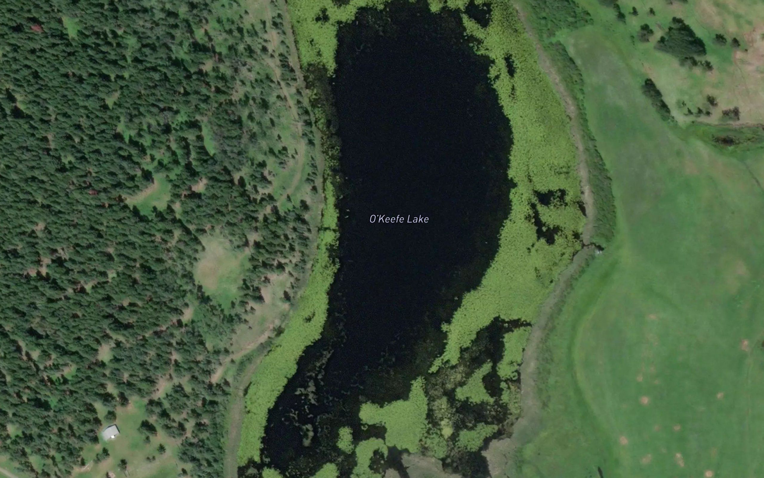 O'Keefe Lake
