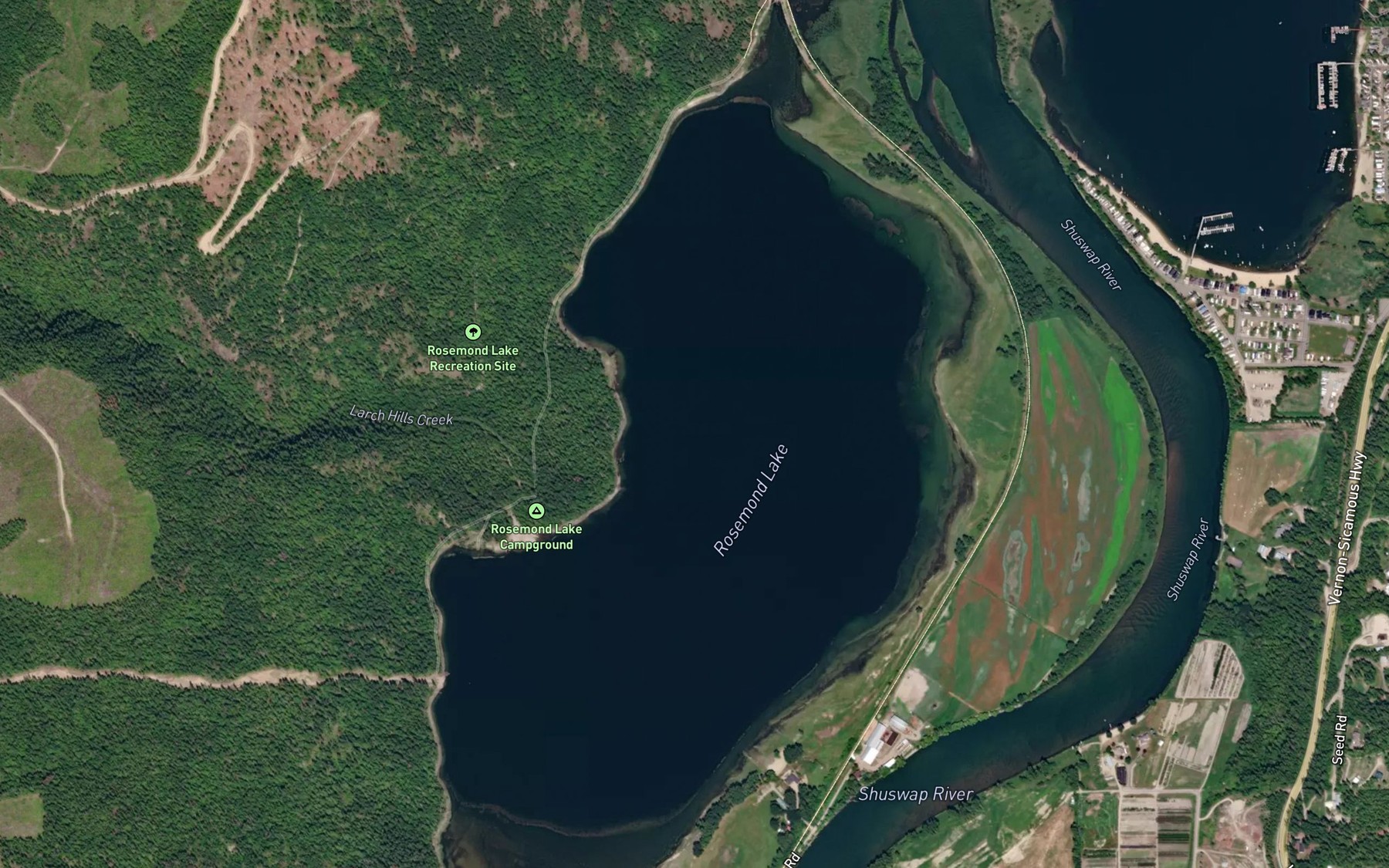Satellite map of the Rosemond Lake