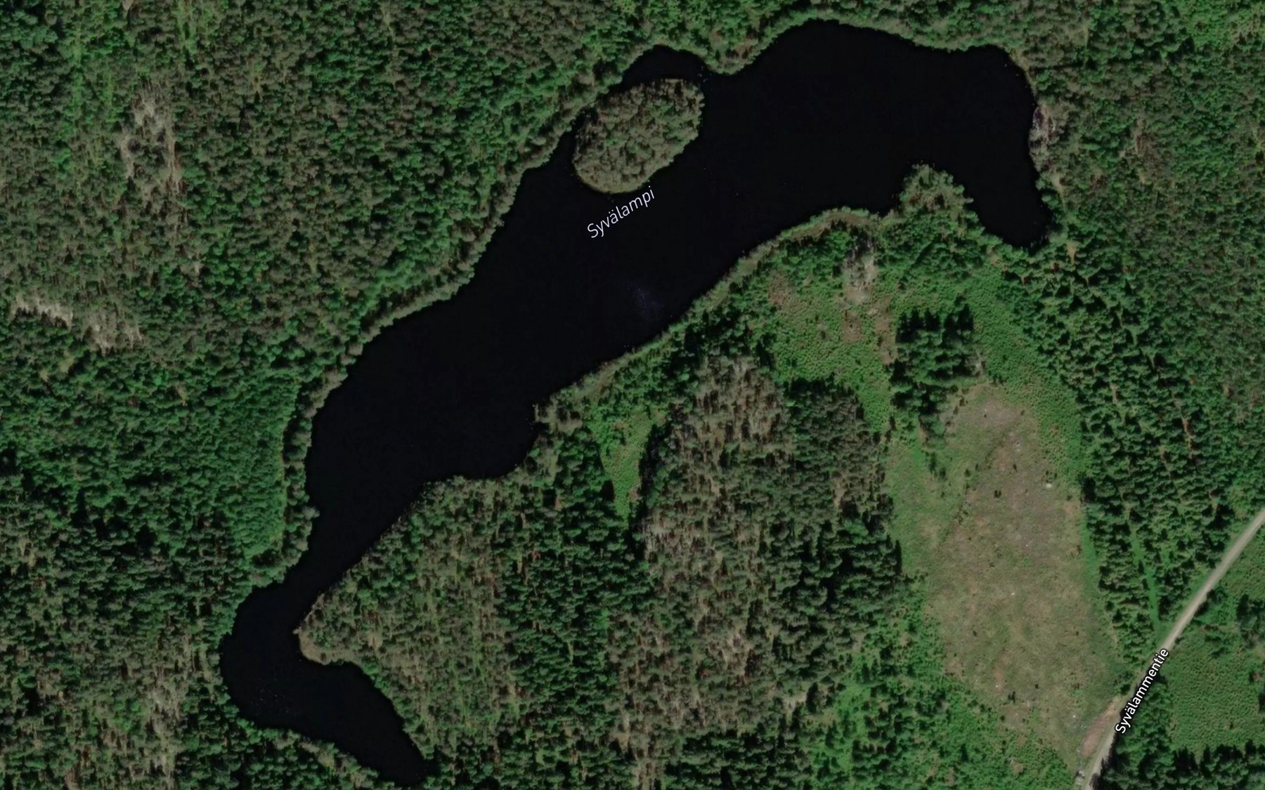 Satellite map of the Syvalampi