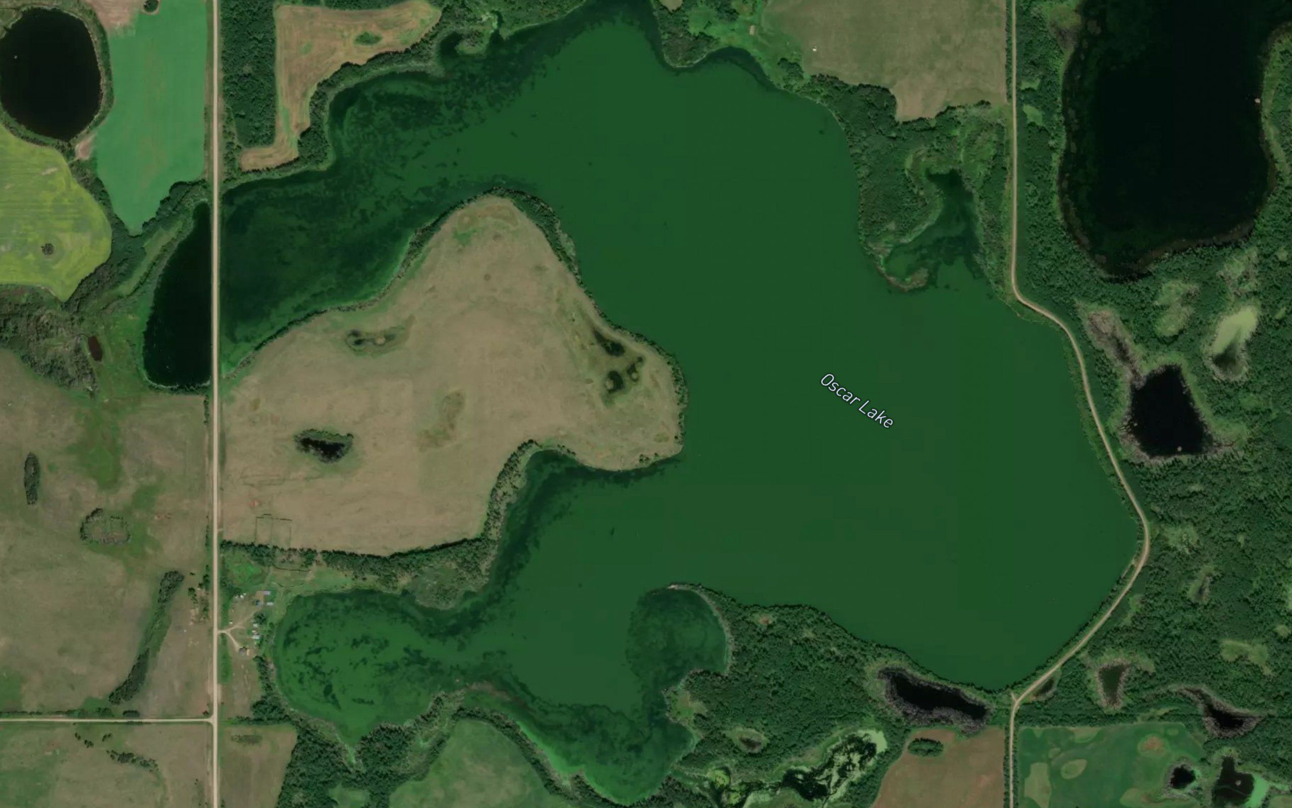 Ivy Lake