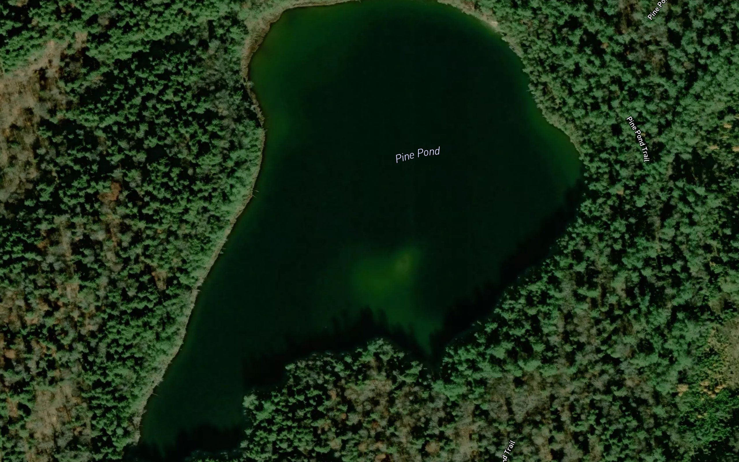 Pine Pond