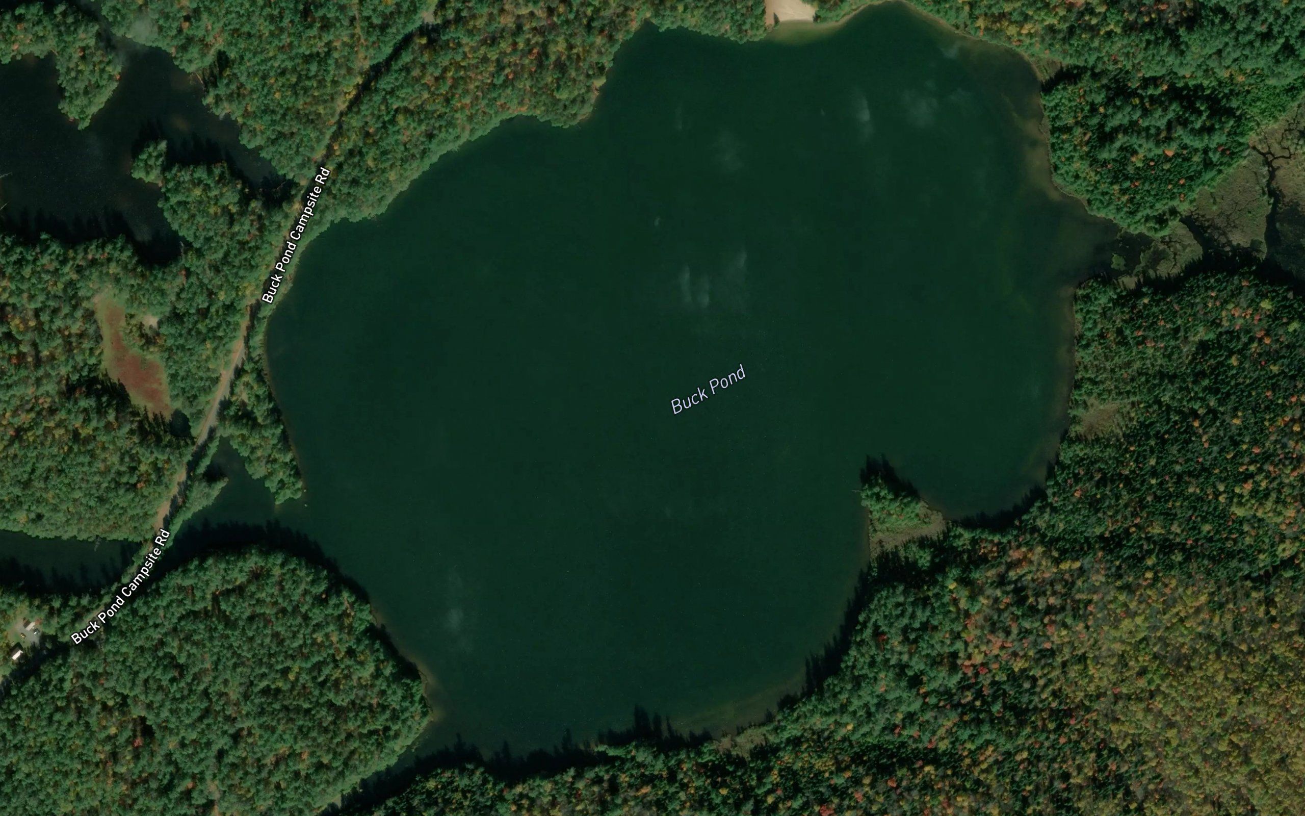 Buck Pond