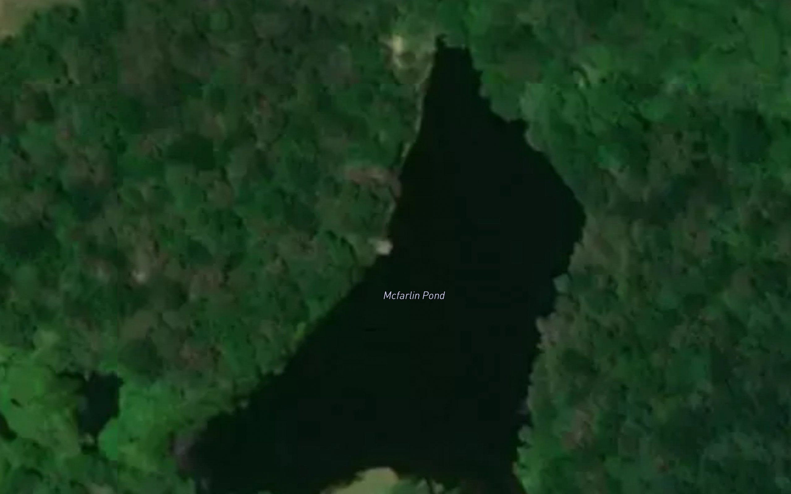 McFarlin Pond