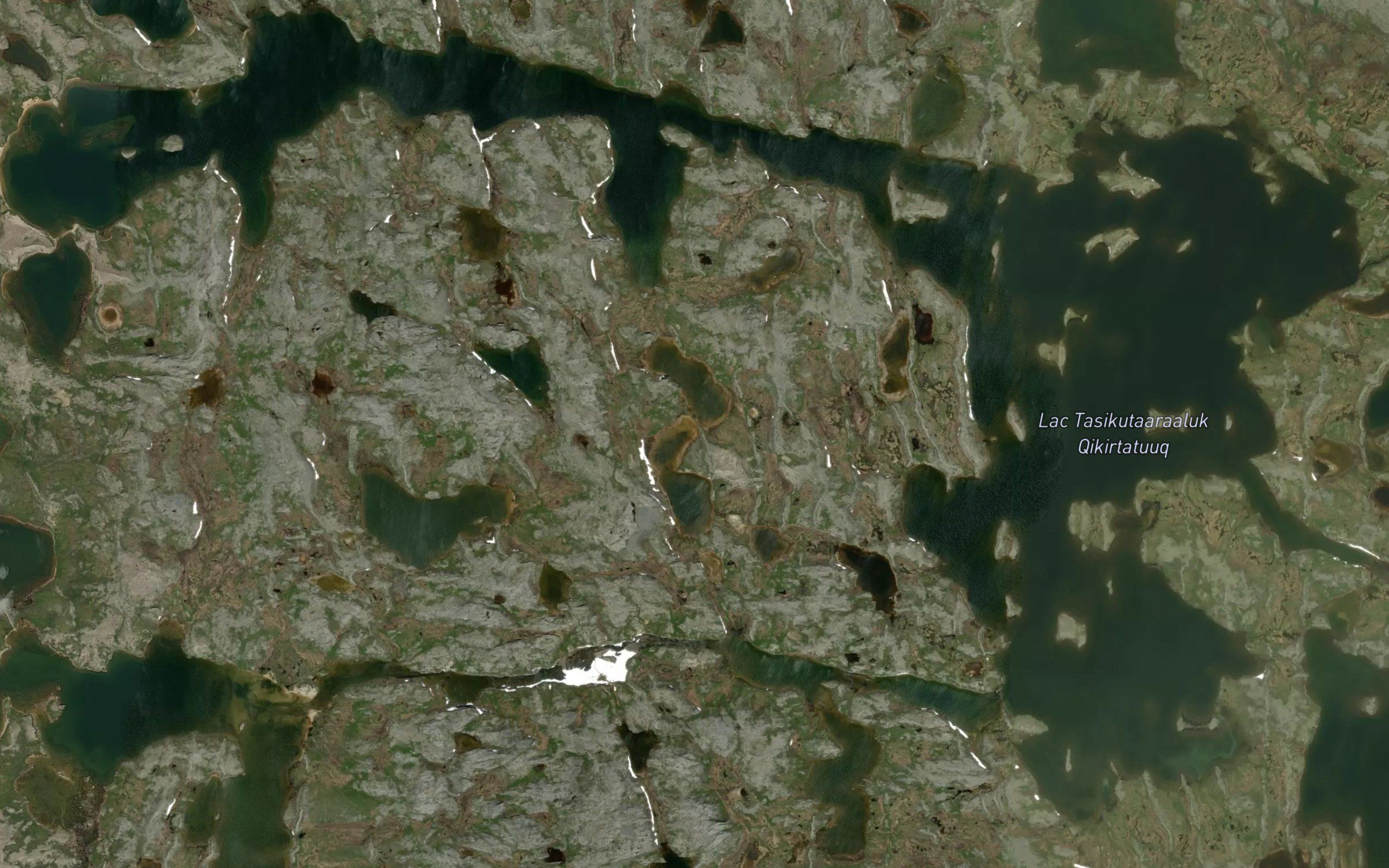 Lac Tasikutaaraaluk Qikirtatuuq