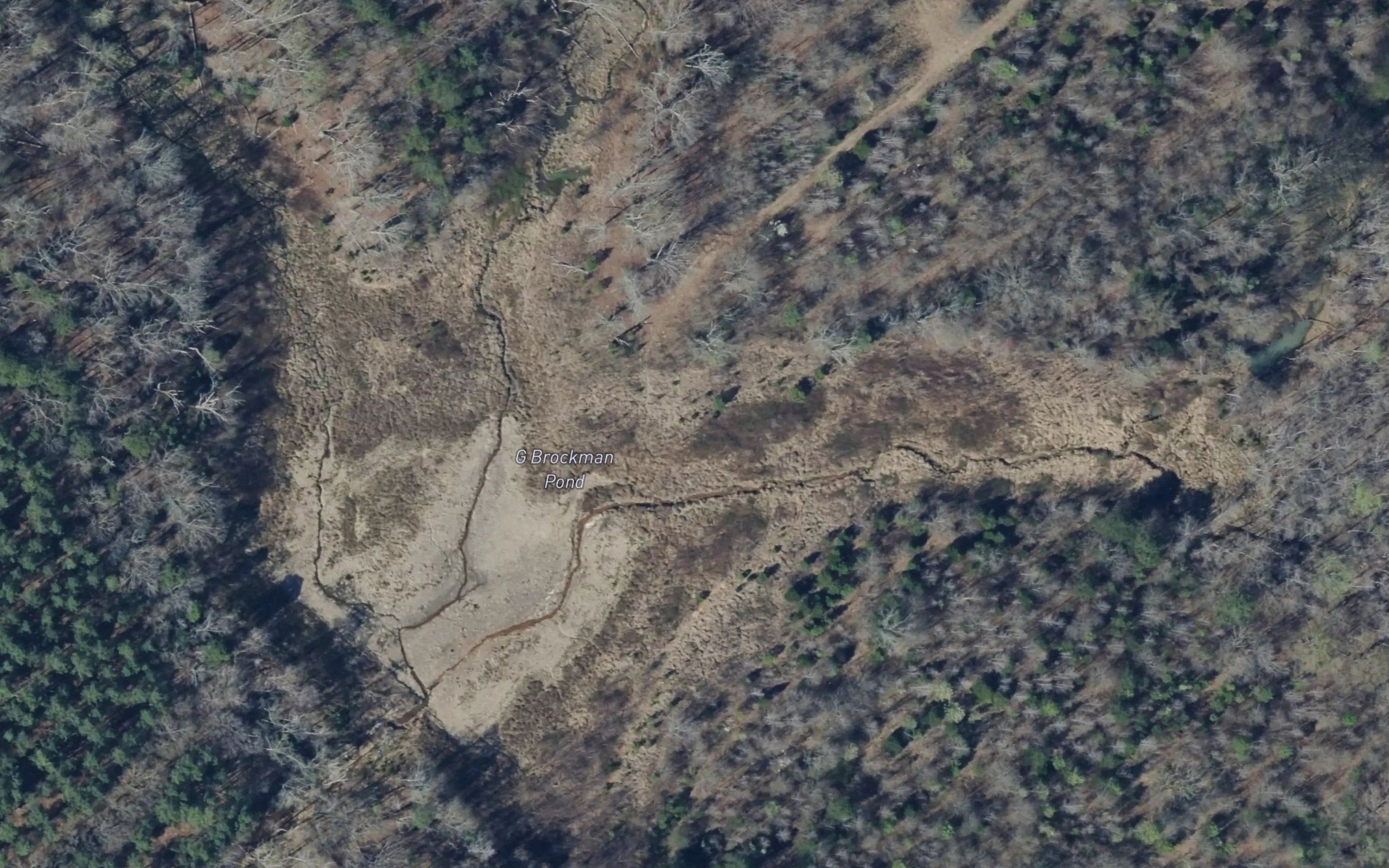 G Brockman Pond
