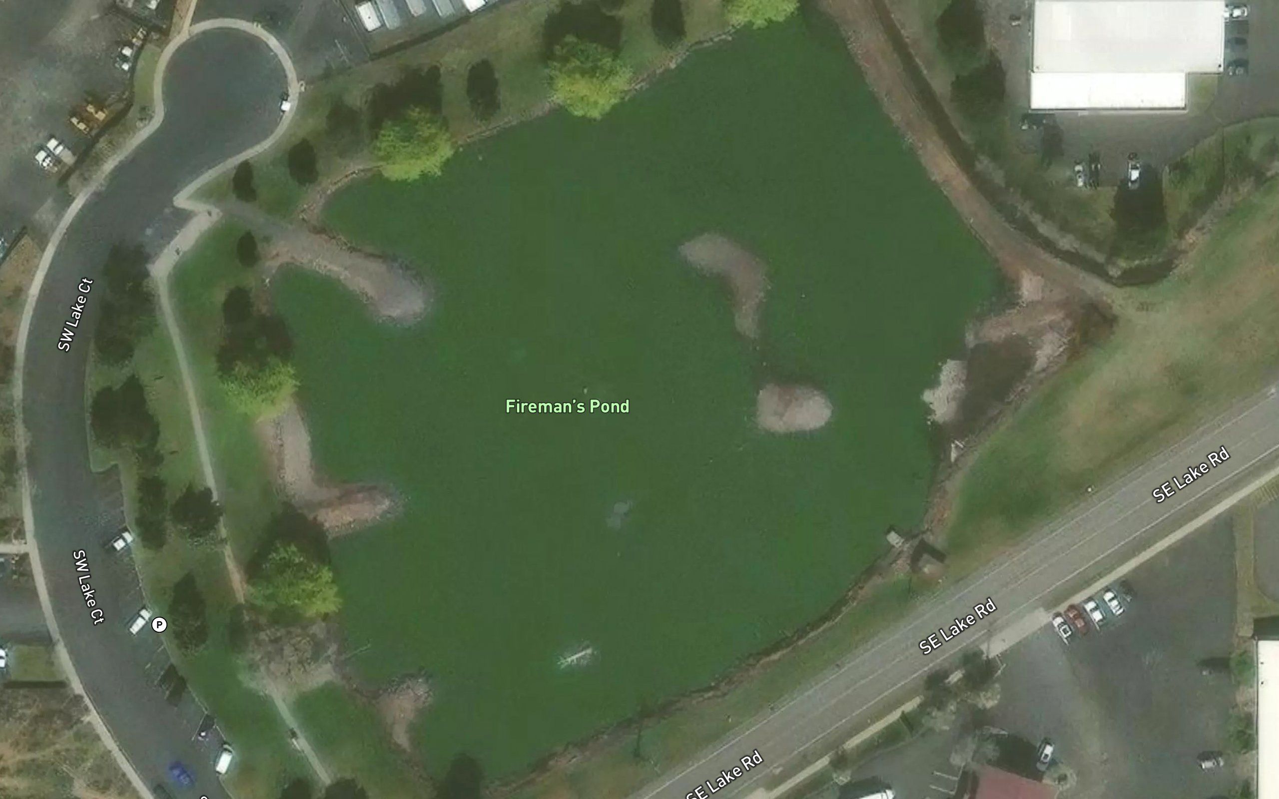 Lions Lake
