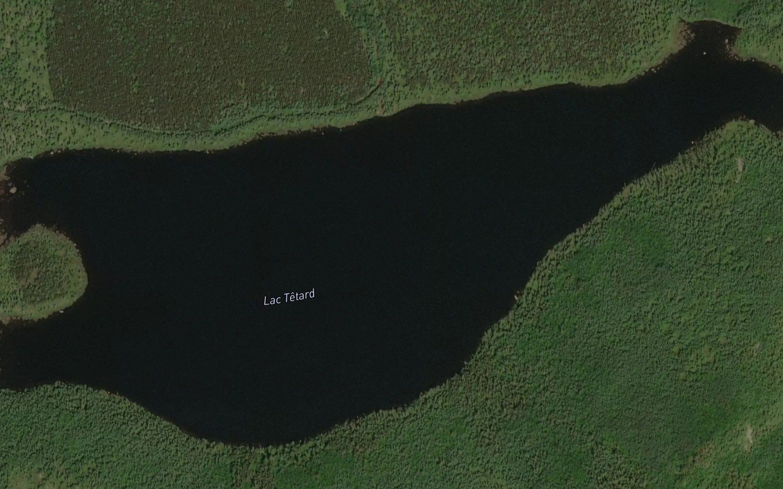Lac Tetard