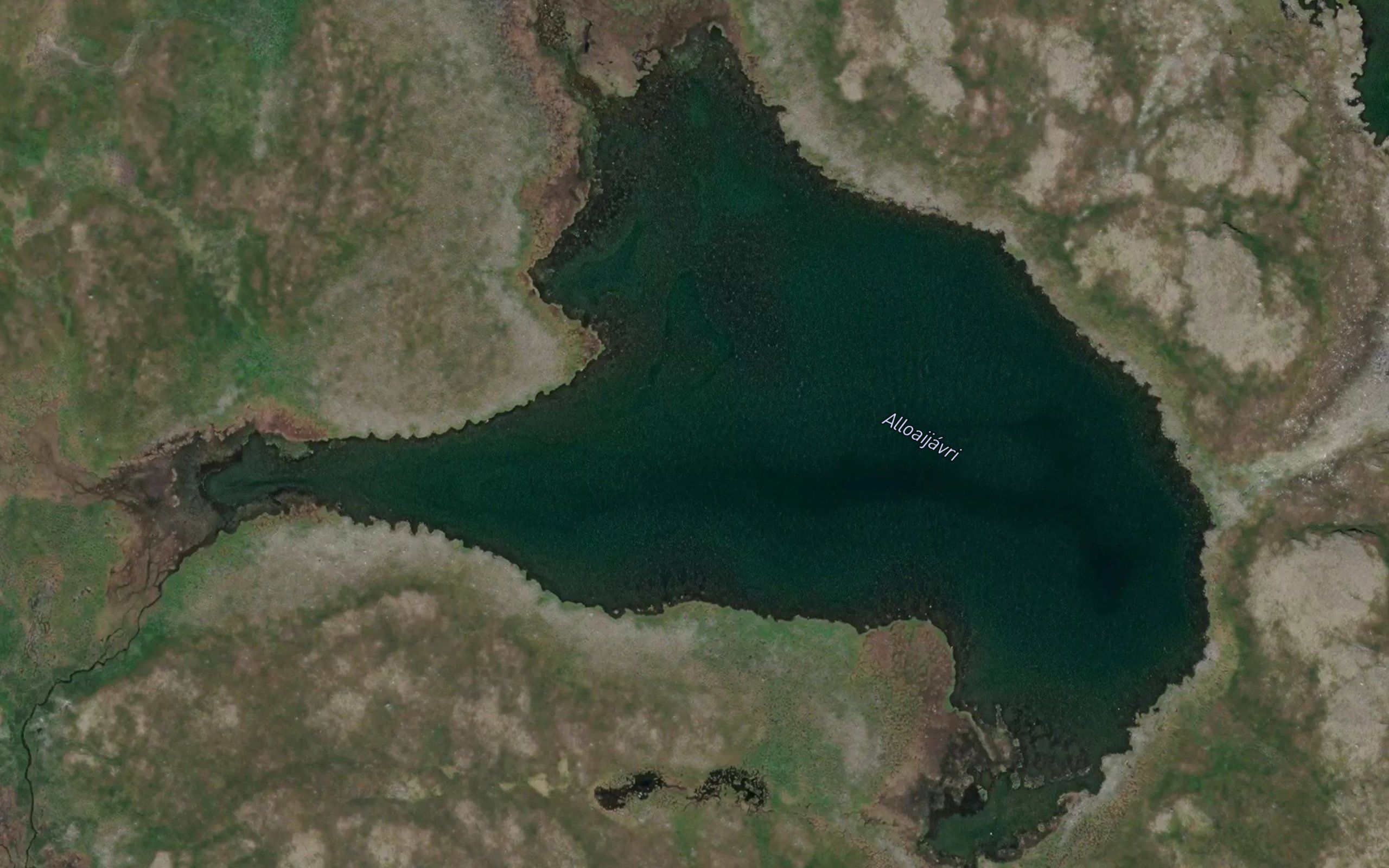 Alloaijavri