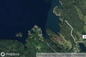 Liervagen