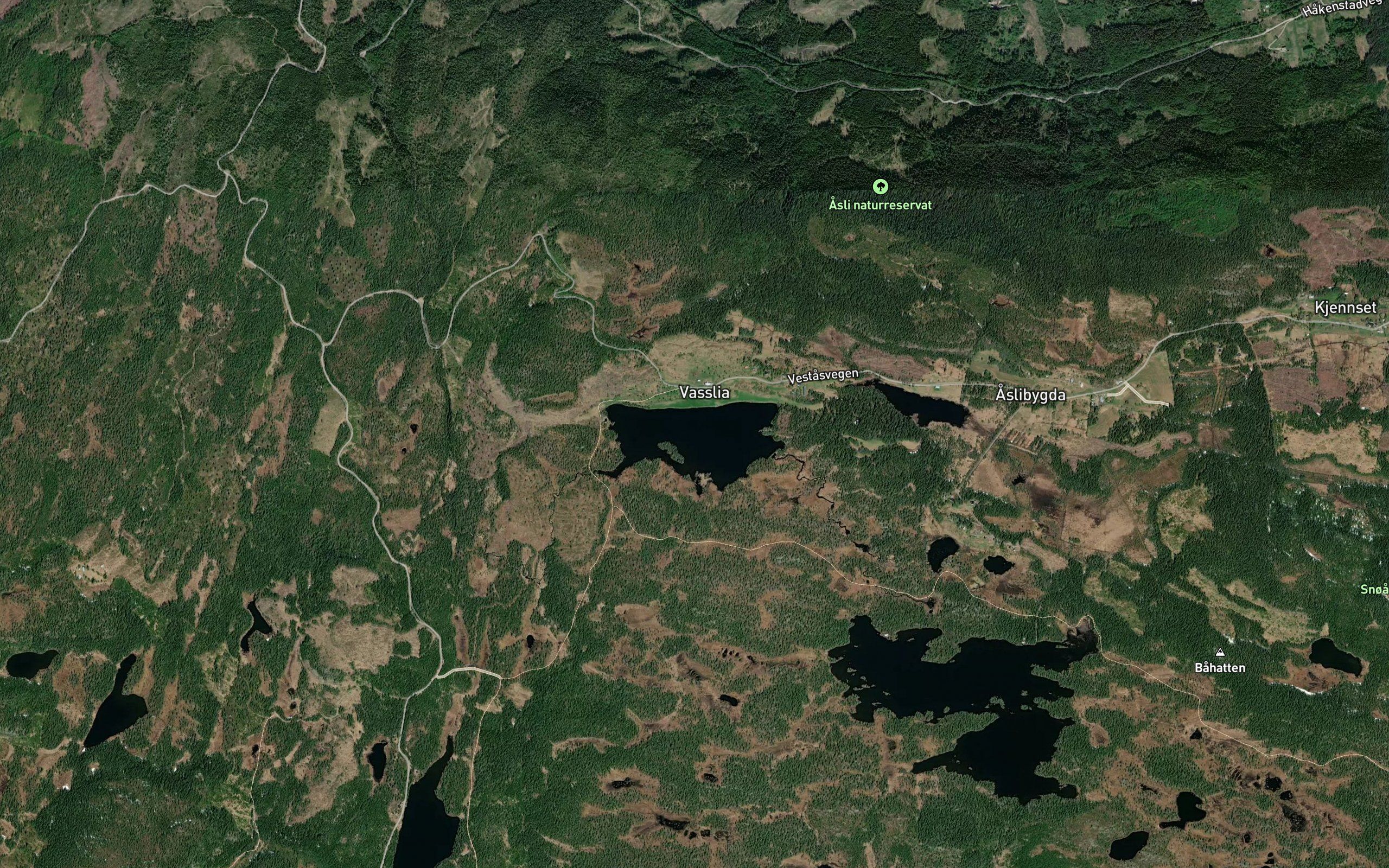Vasslivatn