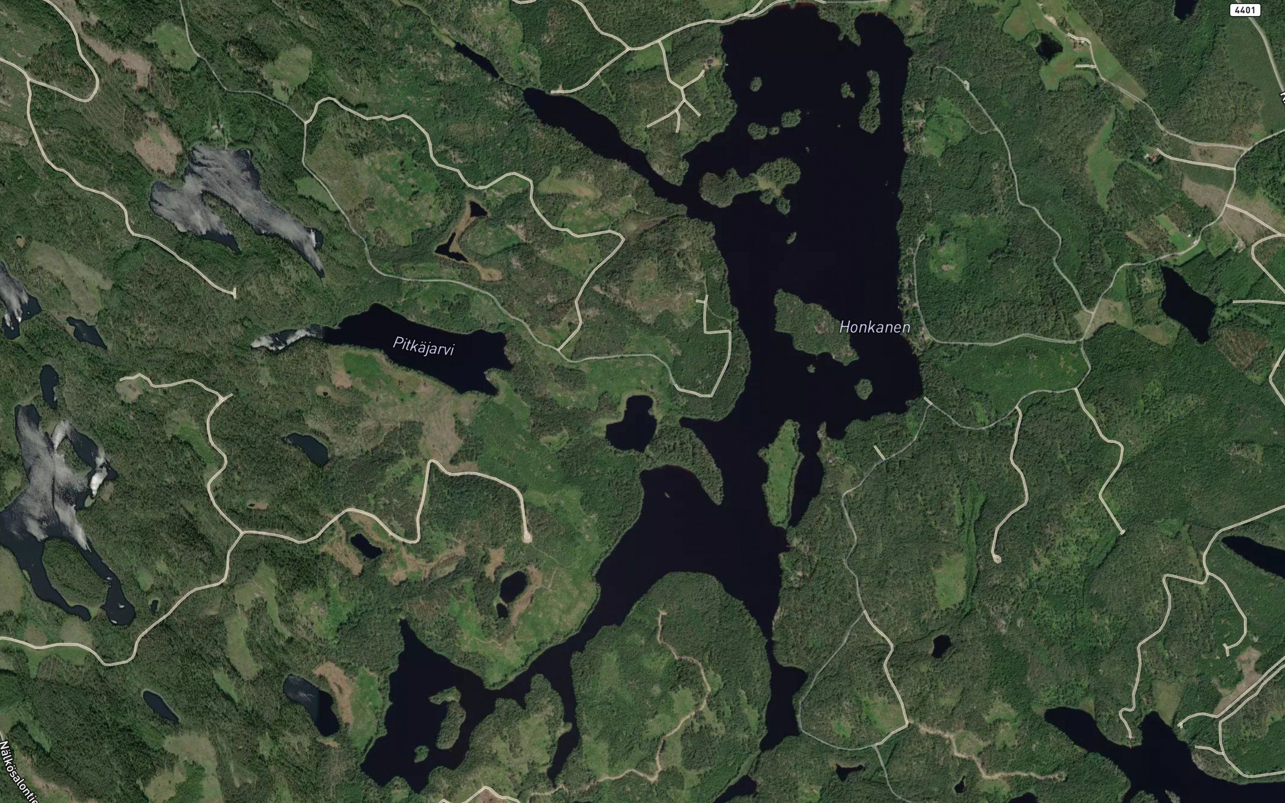 Honkanen