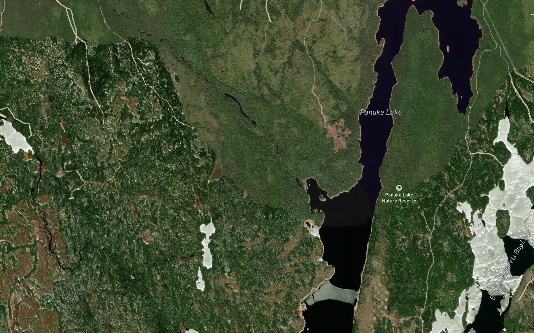 Satellite map of the Thans Brook