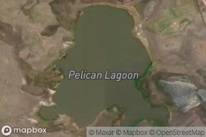 Pelican Lagoon