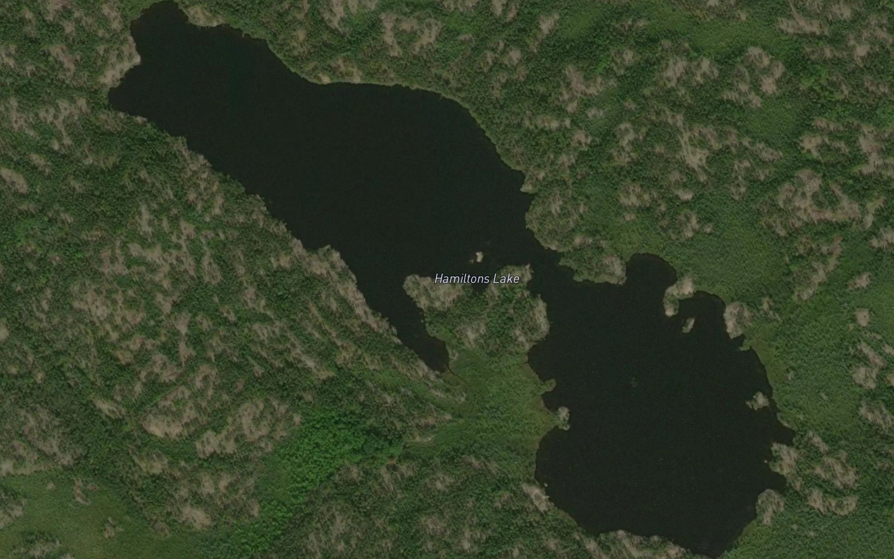 Satellite map of the Hamiltons Lake