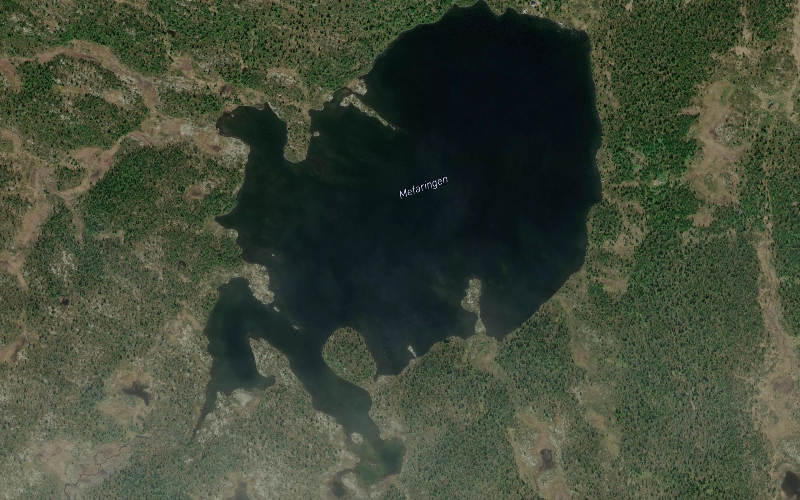 Mefarningen