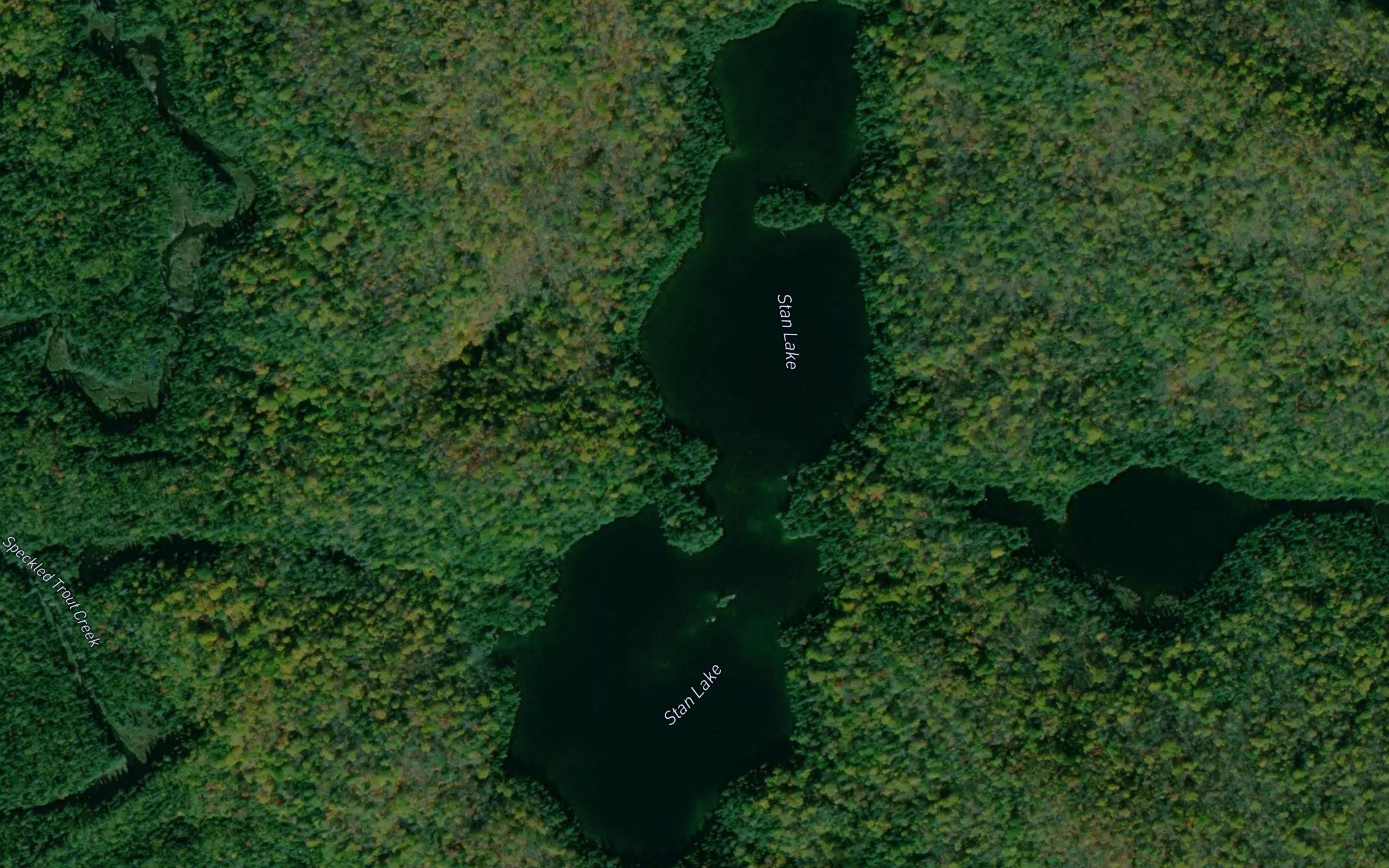 Stan Lake