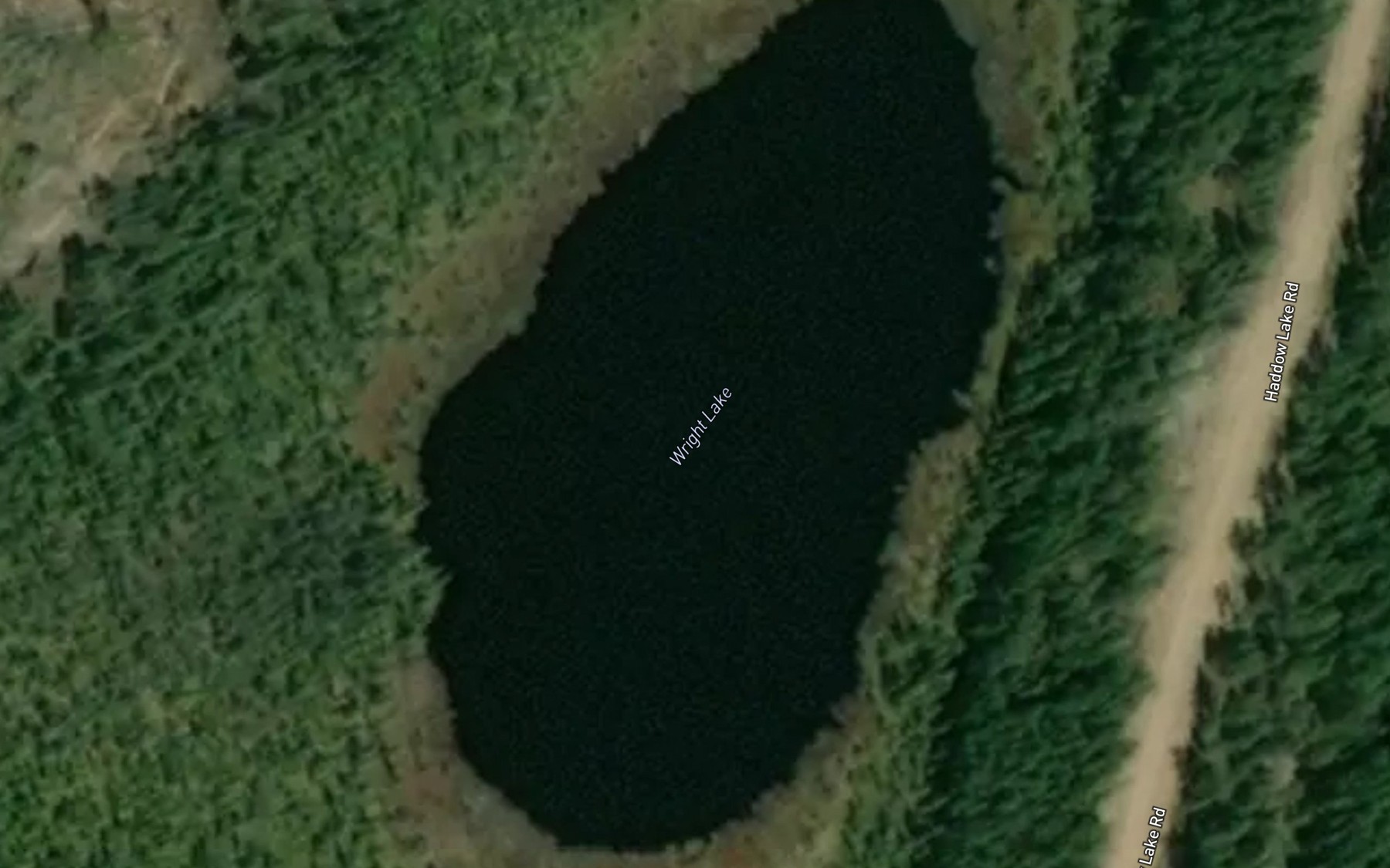 Satellite map of the Wright Lake