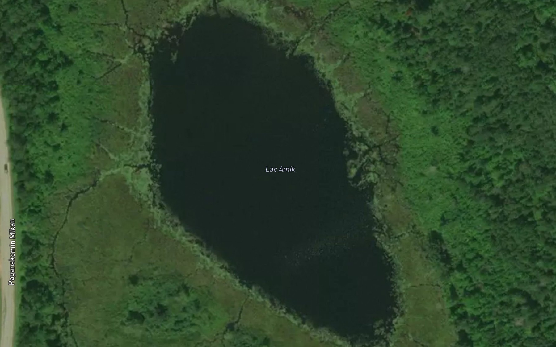 Satellite map of the Lac Amik