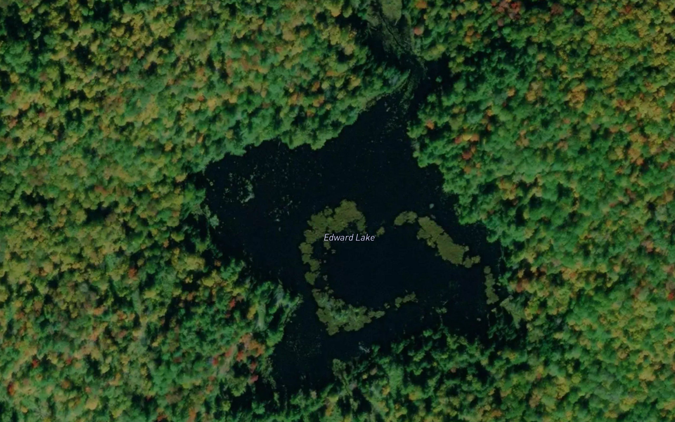 Edward Lake