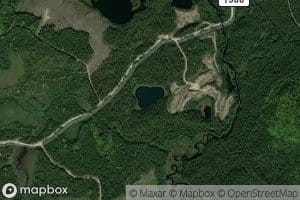 Lac Y