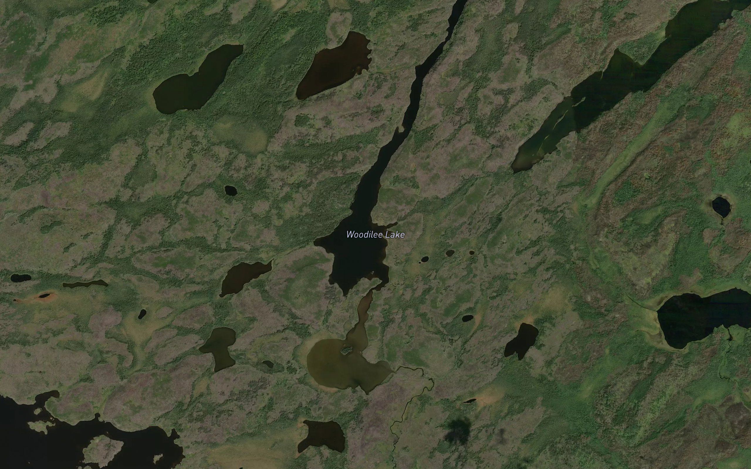 Woodilee Lake