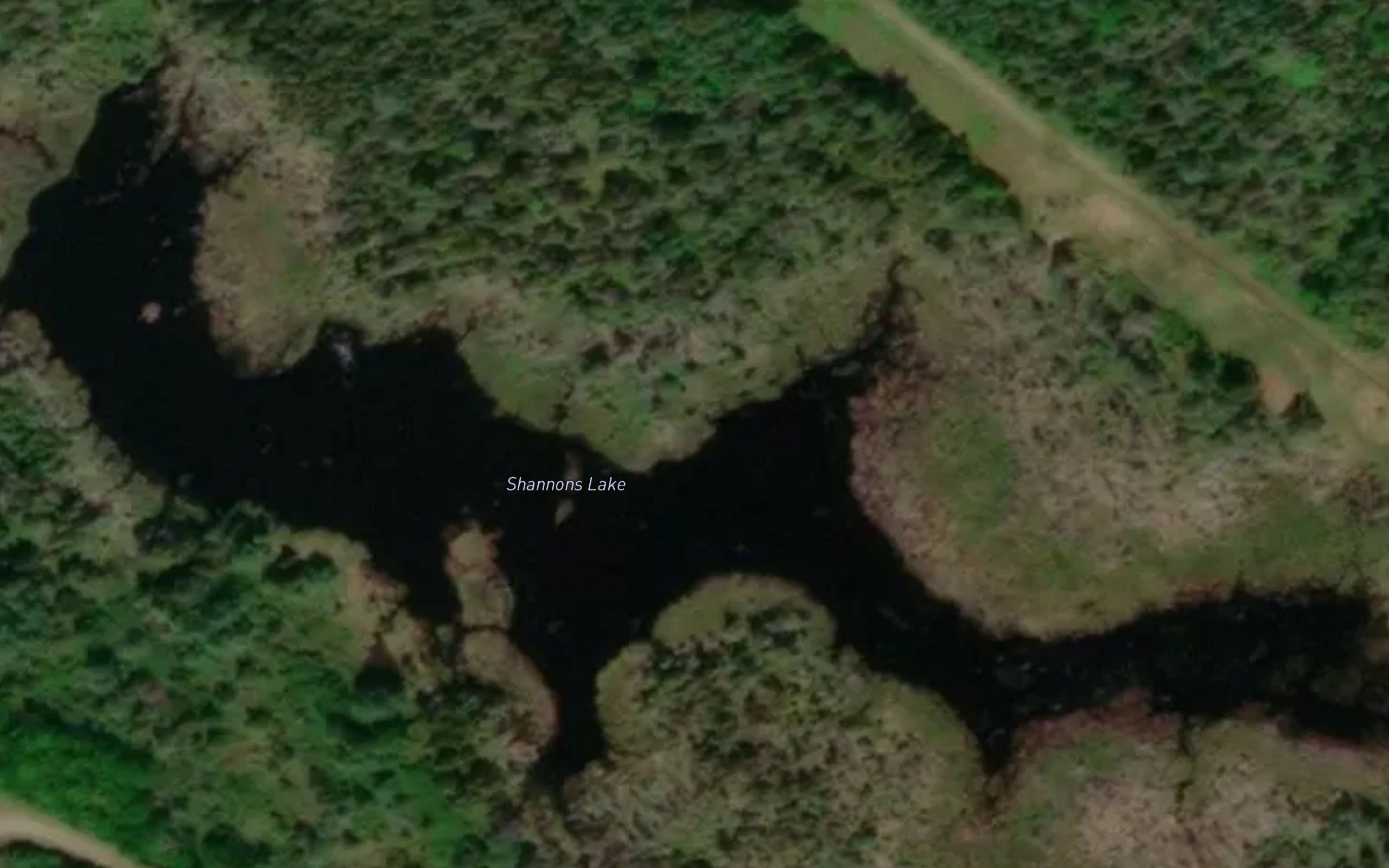 Shannons Lake
