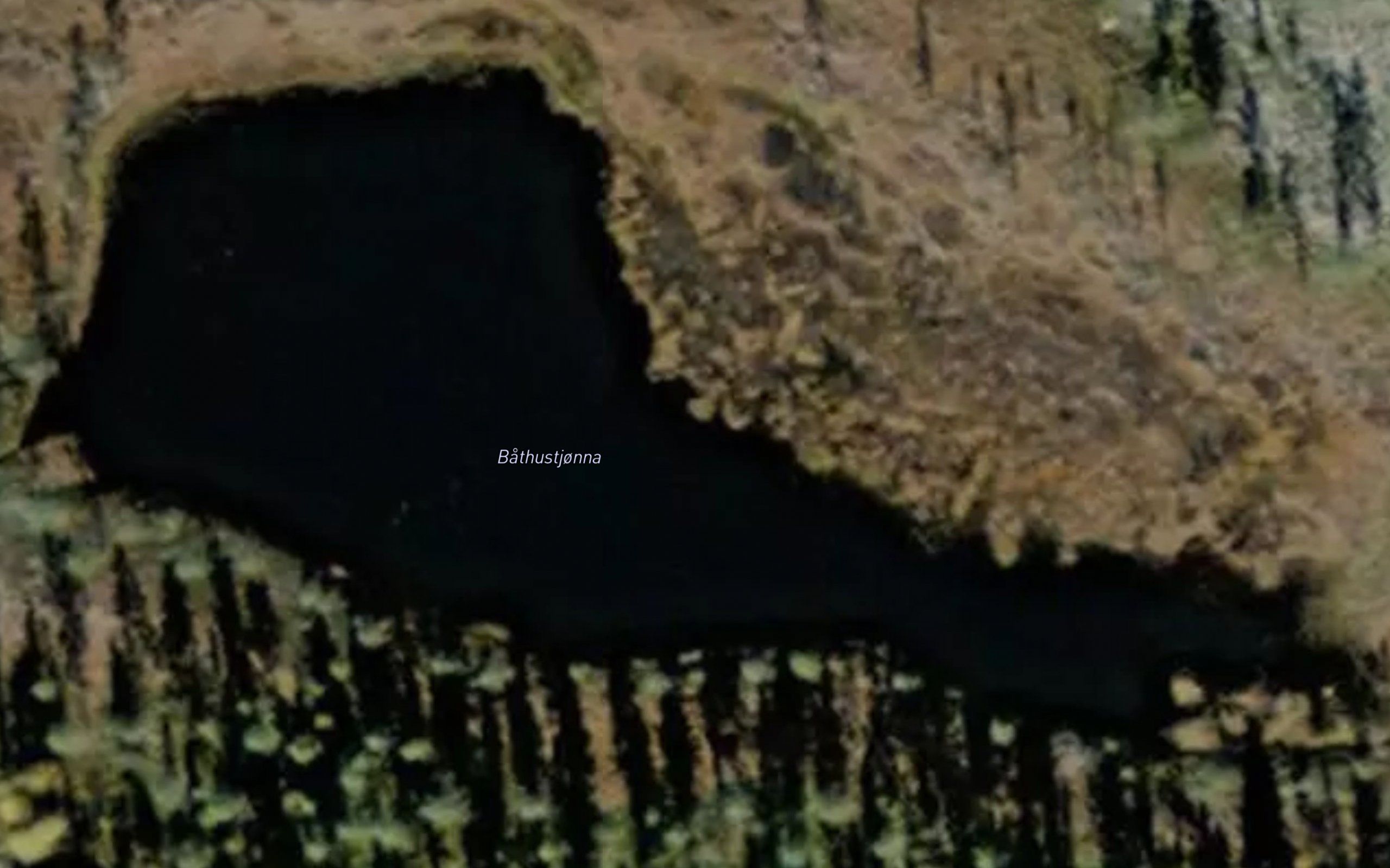 Bathustjorna